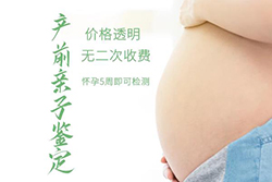 重庆如何做怀孕亲子鉴定