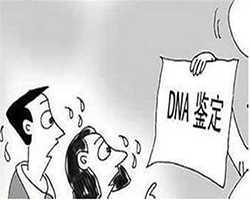 重庆人民医院可以做DNA亲子鉴定吗，重庆医院办理血缘检测办理流程